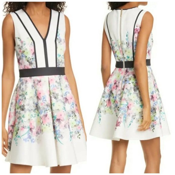 Ted Baker Dresses & Skirts - Ted Baker Solarh Pergola Print Floral Dress 2 4/6